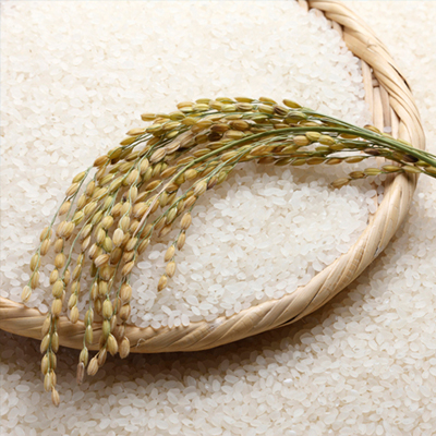 米穀類卸売事業